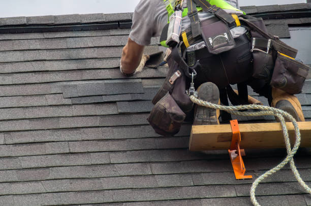 Best Roof Moss and Algae Removal  in Fairplay, GA